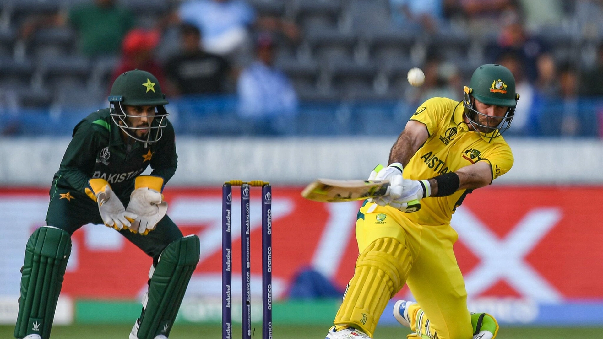 姆普馬蘭加|加登路特獾